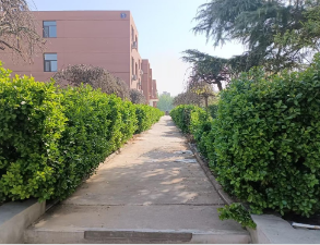 初中毕业在石家庄学护理专业哪所学校好？