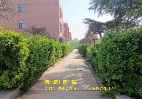 河北同仁医学院有月假吗.png