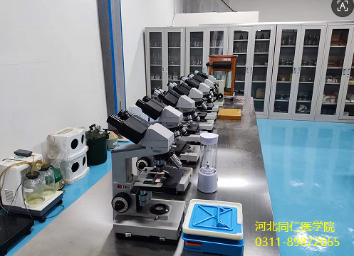 小女生学药剂专业好不好?有前景好就业吗?-河北同仁医学院