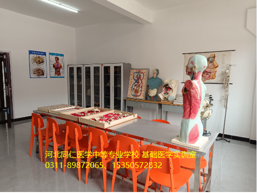河北同仁医学中等专业学校卧龙校区基础医学图片.png
