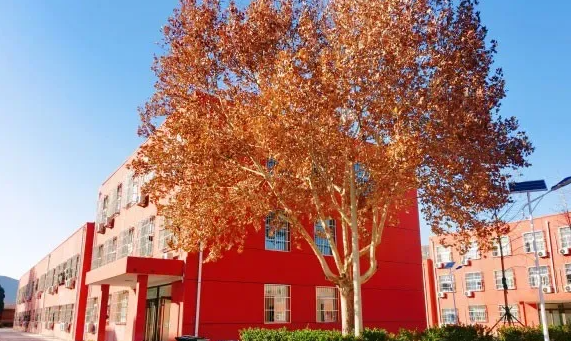 河北同仁医学中等专业学校学护理考大专需要多少分？