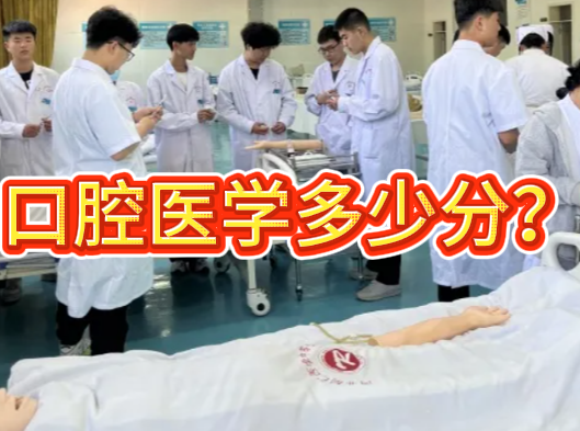 2026年河北对口高考口腔医学分数线多少？