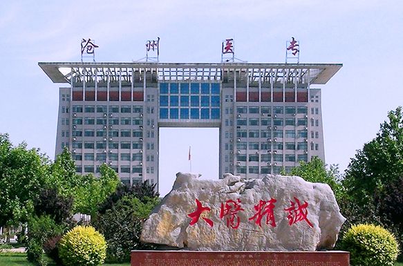 2026年沧州医学高等专科学校（沧州医专）对口高考专科批录取分数线